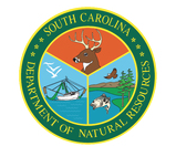 DNR logo